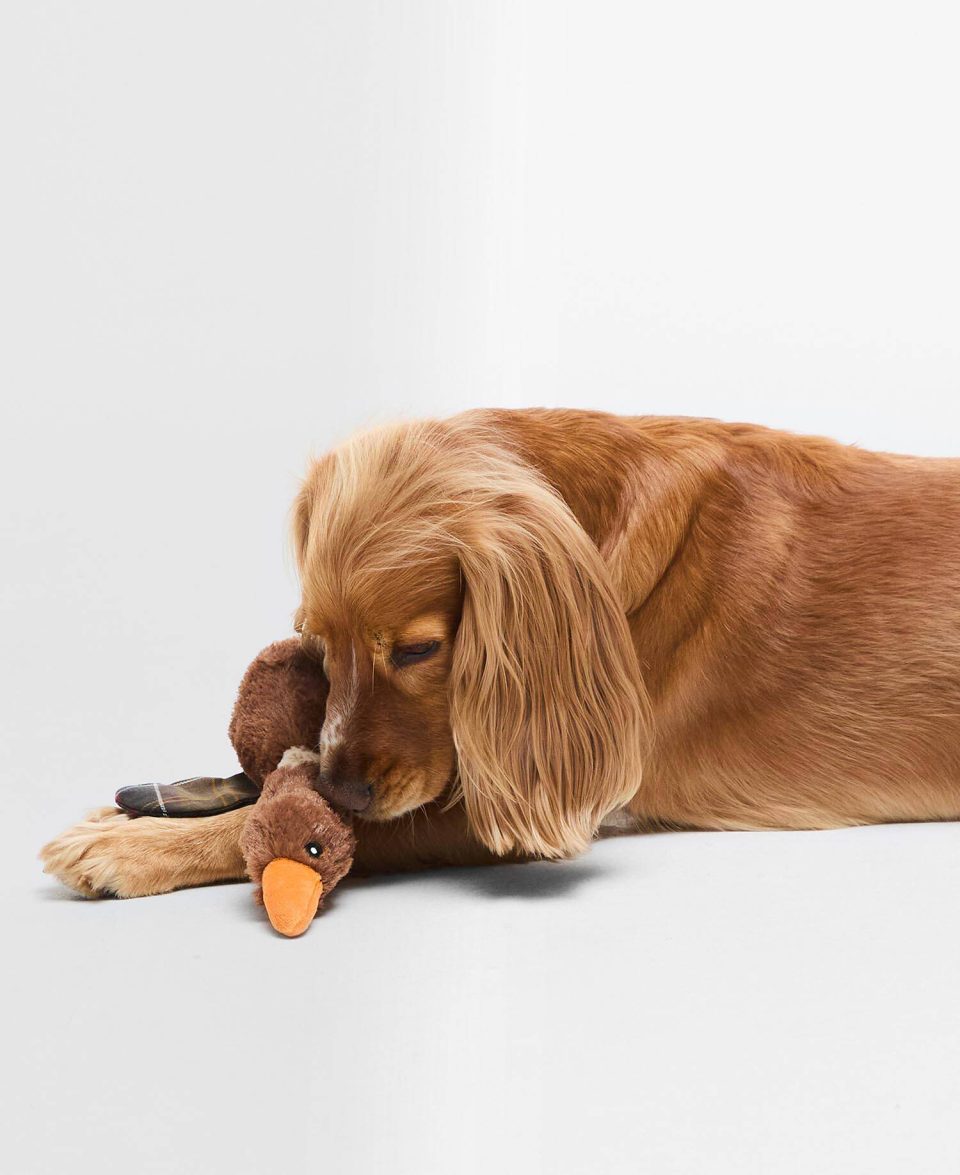 Fly Duck Dog Toy