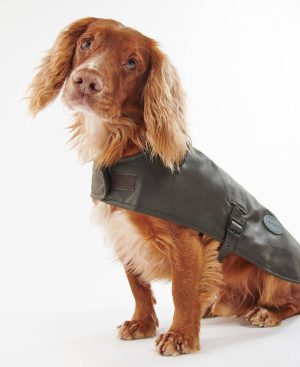 Waxed Dog Coat