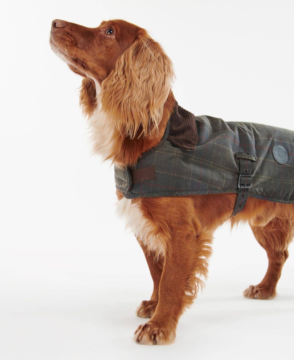 Tartan Waxed Dog Coat